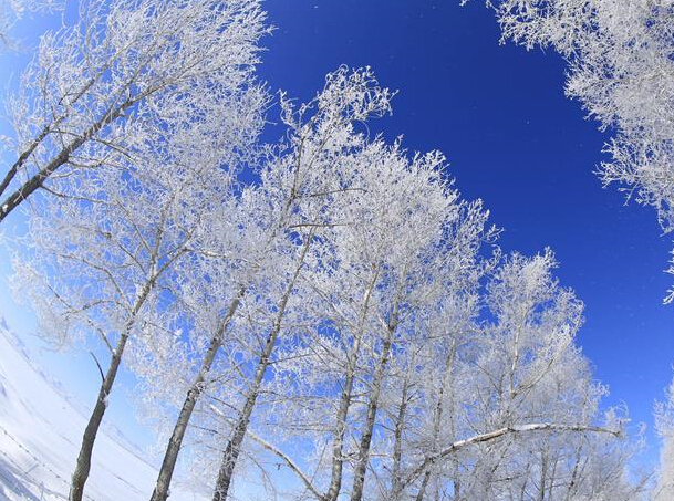 �½������ص���ڡ������