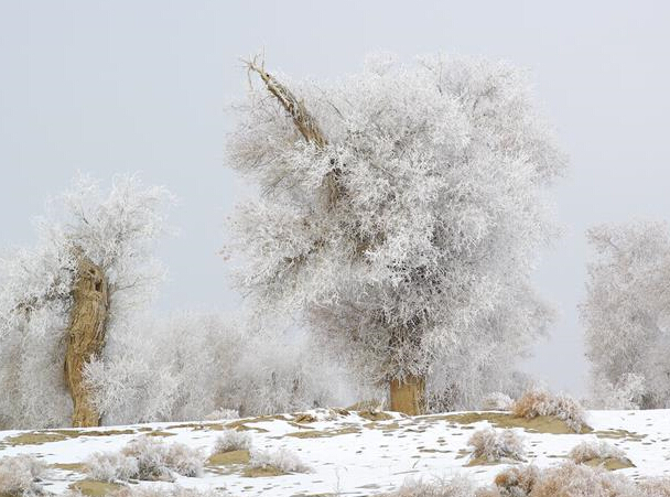 �½��⳵�����պ��