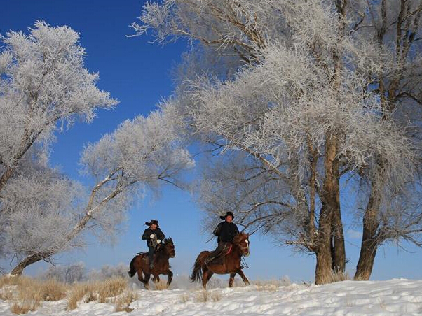 �½�����̩������ڡ������