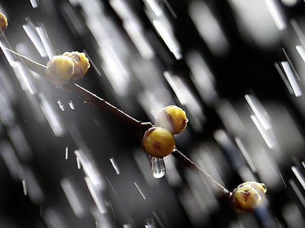 ��÷���������Ρ�