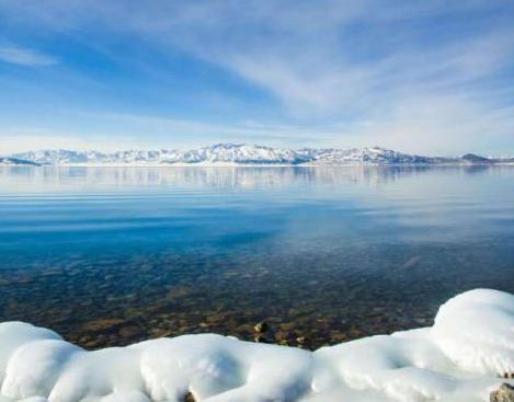天山脚下倒挂冰凌似“卷珠帘””