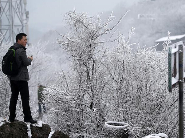 �Ͼ������׳�ѩ���͵������١�