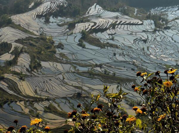 ���Ϲ����������续��