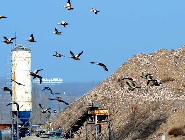 �ƺ�ʪ�����ƻ� �����������в��