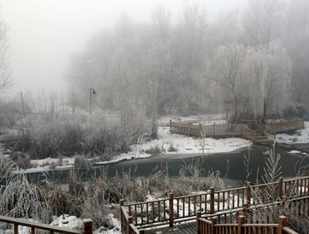 �½�����ӹ���ڡ������