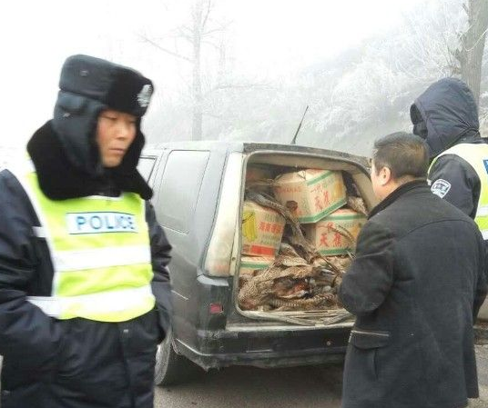 ԽҰ���ؽ�800ֻҰ�� ������������ˮ����