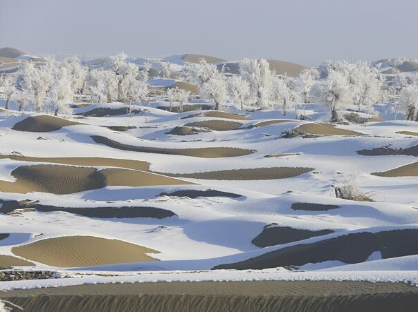 ������֮�������������ɳĮƵ����ڡ��ۡ�