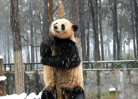 �㽭��������èѩ����ˣ�ԡ��ȡ�����ɫ��