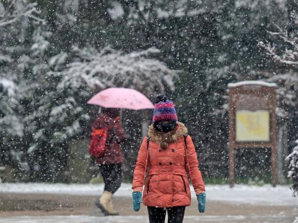 ������Ϯ���� �Ž�ӭ�������׳���ѩ��