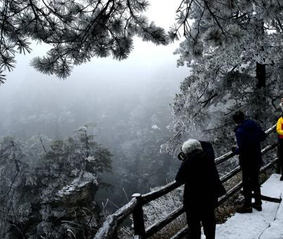 �żҽ�����Դ���Ϲ�ѩɫ����������