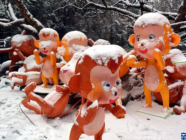 ����������ѩǿ����������