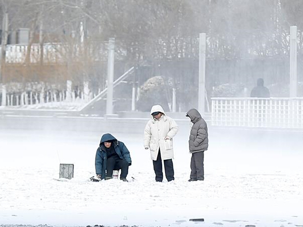 �����ֽ�ѩ����������