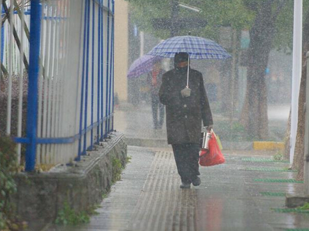 ����������ѩ��ɫԤ����