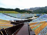 4��ֻ����ƿ���̵ء����ɿ��š�