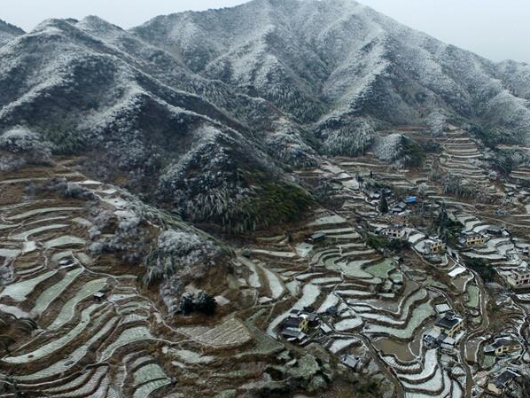 �����������ֹ�����