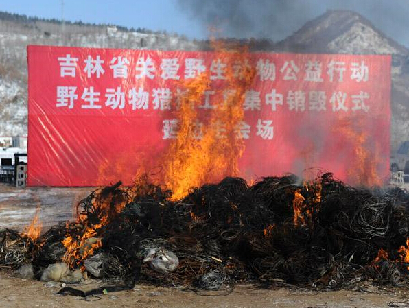 ����ʡ�������ٰ����Թ��ߡ�