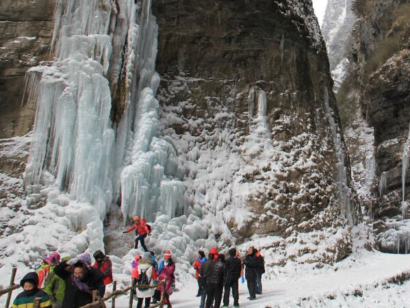 �Ĵ���è����ɱ�ѩ���� ��������������ˡ�