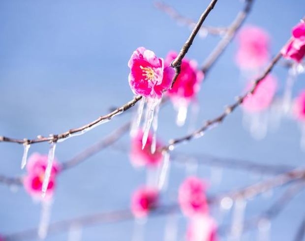 ���������ٻ��������� �ο͸�̾�����滨��