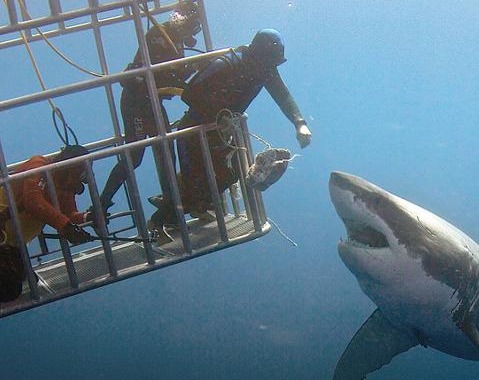 ǱˮԱ���������ܽӴ� ���ݾ���ʱ�̡�