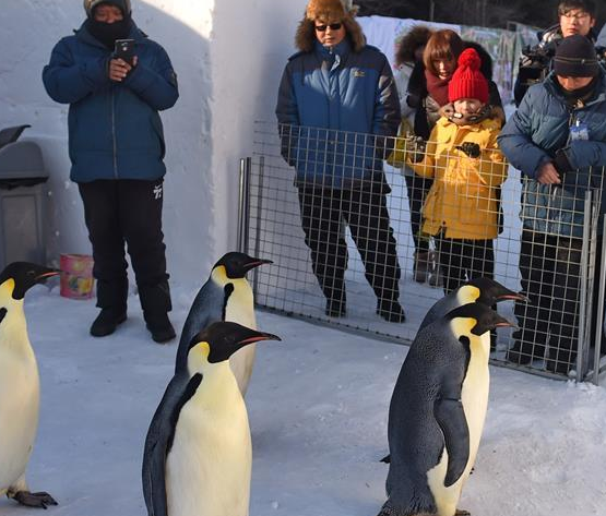 ��ֻ����조���͡���������ѩ���硱