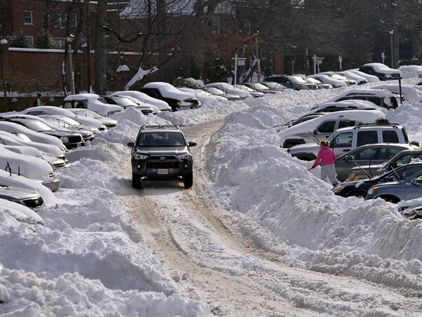 ����ѩ������ѡ�