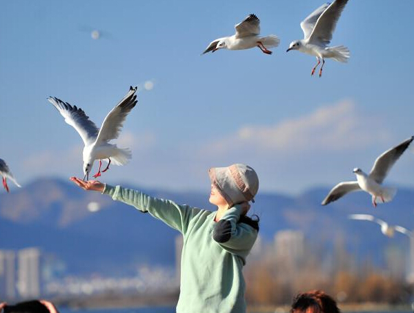 �������»�ů ����Ÿ�Ŷ�ɹ̫����