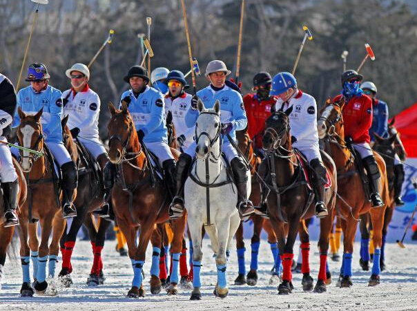 ѩ���������籭�������Ļս��