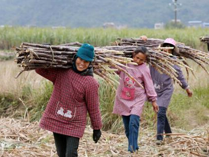 ������ɽ��ũ�񺮶�æ���ո��ᡱ