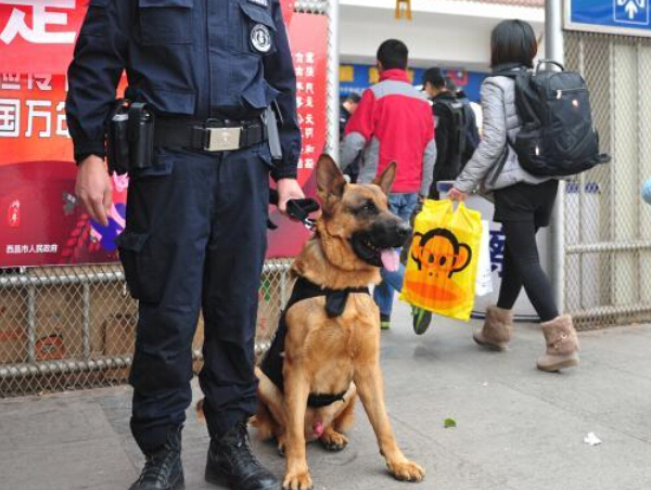 �Ĵ���Ȯ�����ǡ�ֵ�ش��˻�ƽ����