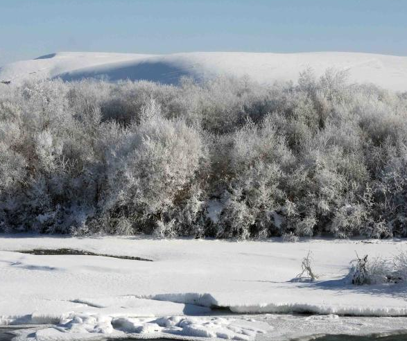 �½����ձ�ѩ������