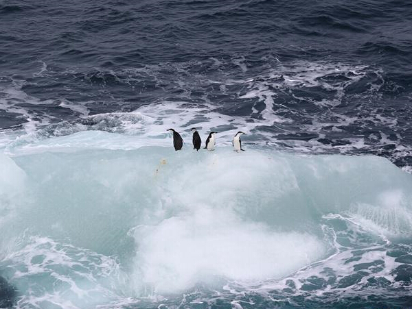 ӡ���ϼ�����ɽ��ۡ�