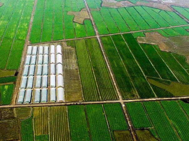 ̽�ù��������߲˻��� ÿ������˿����ϰٸ۱ҡ�