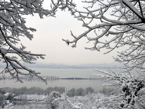 ѩ����������Ũ��