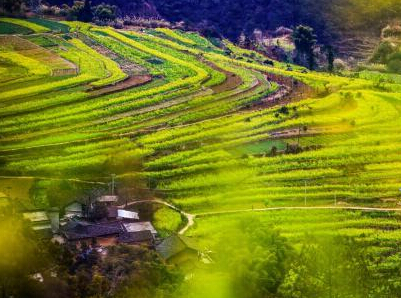 �Ĵ�ʯ���Ͳ˻������ؽ��´塱