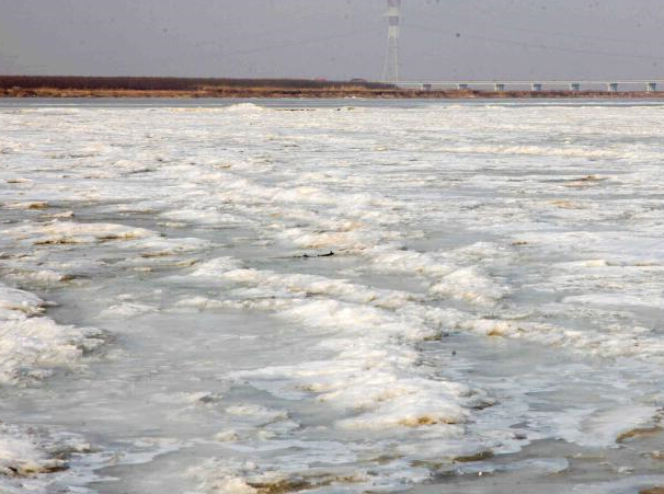 �ƺ�ɽ���η��200ǧ�� �֡����踲�ǡ����¡�