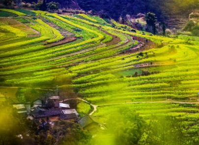 �Ĵ�ʯ���Ͳ˻������ؽ��´塱