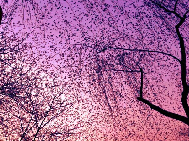 ������ͻȪ�Ͽ��֡�����������ۡ�