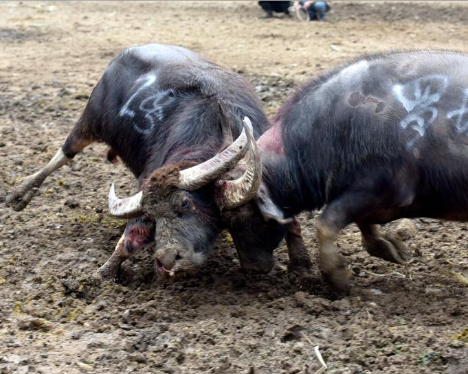 �������綷ţ�ִ��ڡ�