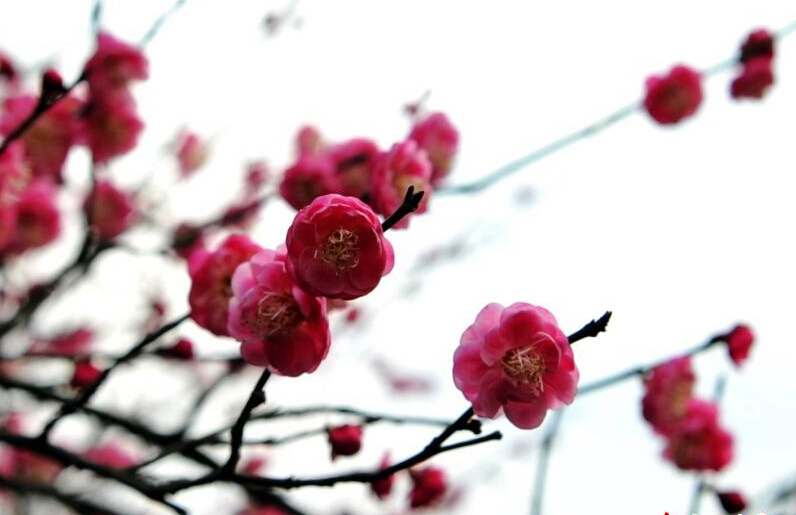 �ϲ�÷��ʢ���������� �����οʹ����ͻ�̤�ࡱ