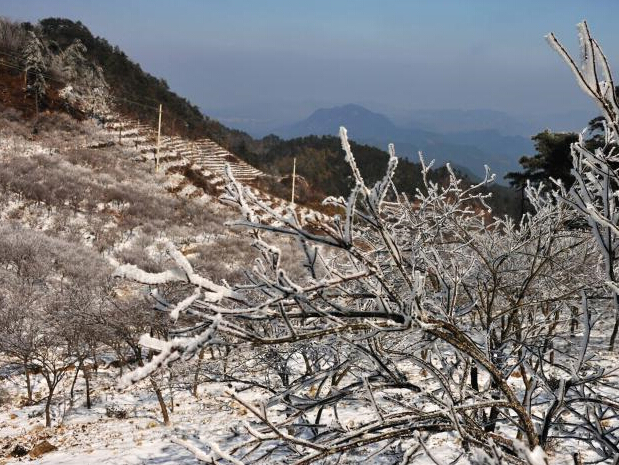 �㽭�ɾ�����ɽ������������