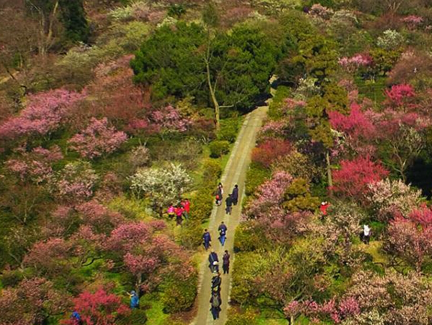 �����Ͼ�÷��ɽ ����̺������次�