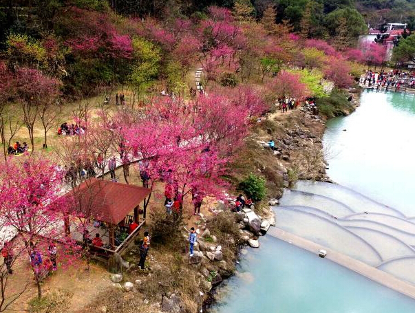 ����ӣ������ �ο�̤������