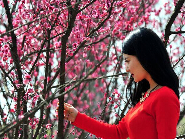 ���䴺ɫ��