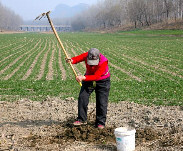 ��������������һ�κӴ��ɿ� ���񿪻ı�ũ�