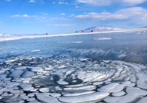 �½�����ľ�������������̾Ϊ��ֹ��