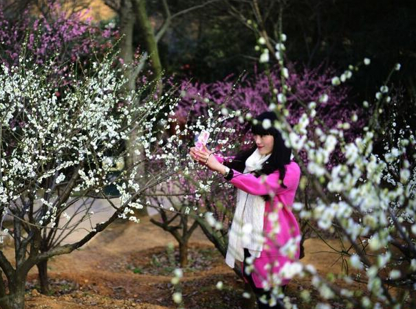 ����ֲ��԰��ů���� �οͻ�������Ӱ��