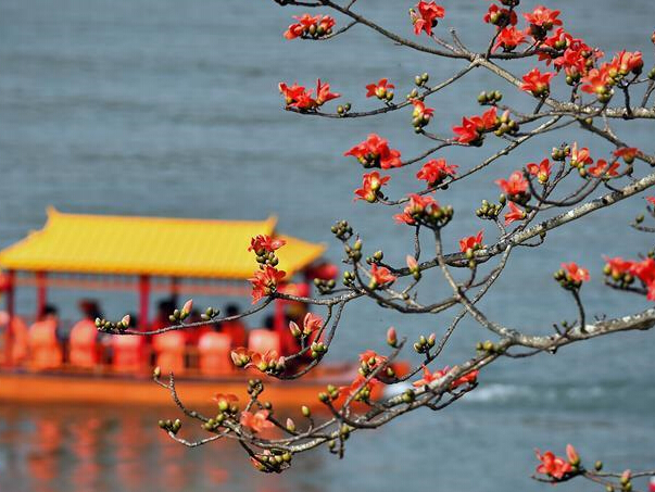 ����ľ�޺족