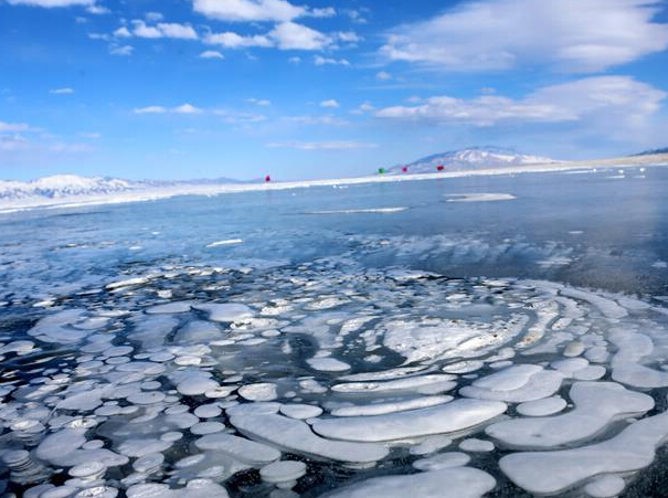 �½�����ľ���������������̾Ϊ��ֹ��