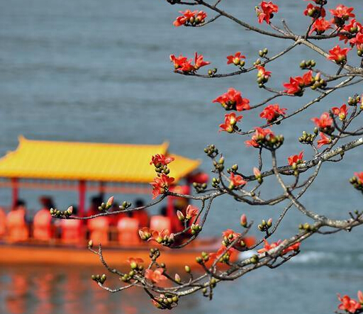 ����ľ�޺족