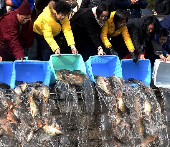 �������Ż�ǧԪ���� ������������ﳡ���𺳡�